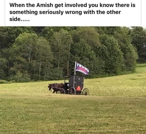 Amish when the people who just want to be left alone get involved