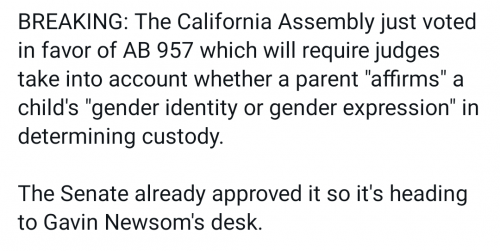 Screenshot_20230909-091905~2