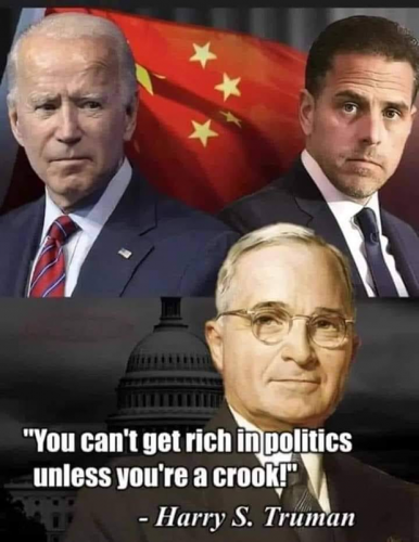 M rich politics