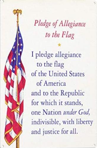 Pledge 13
