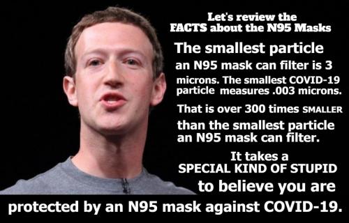 Special kind of stupid Zuckerberg.960px