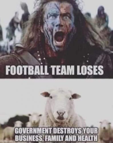 nTQqYIfYQwlF9mgwiS4v_url_image