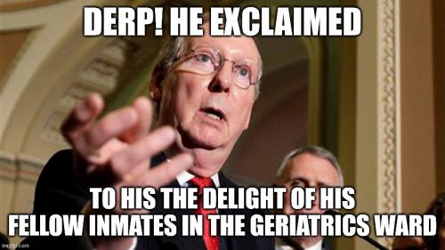 bitch-mcconnell-derp