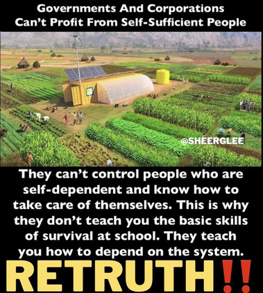 GOVERNMENTS DON'T TEACH   GAB
