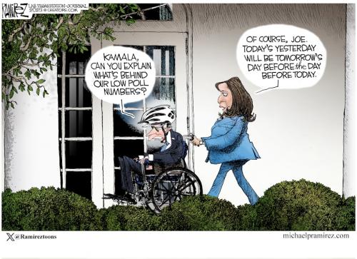 BIDEN WHEEL CHAIR