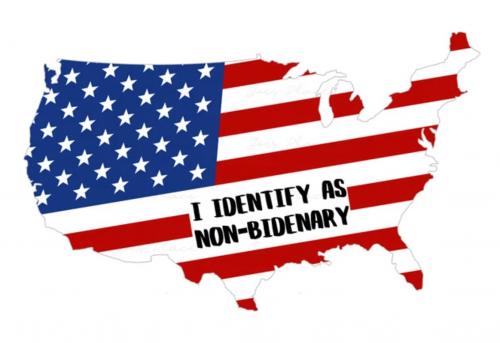 B non Bidenary 05