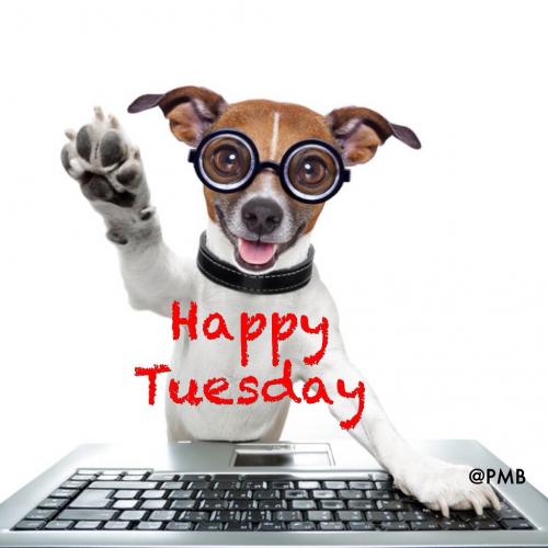 Happy Tuesday