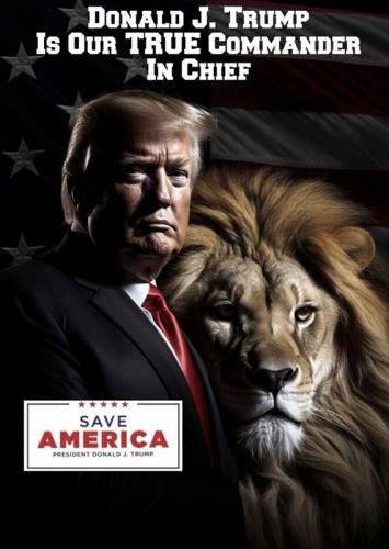USA True Commander