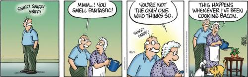 Screenshot 2023-08-25 at 06-46-30 Pickles by Brian Crane for August 25 2023 GoComics