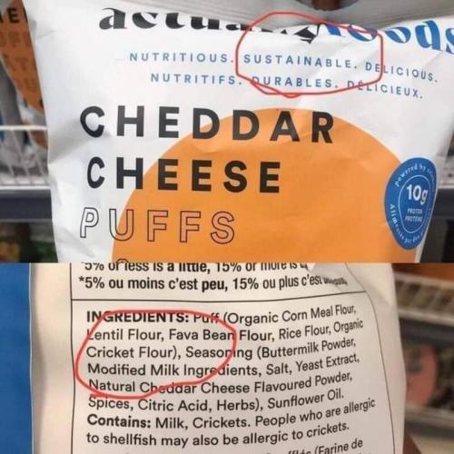Bug Food