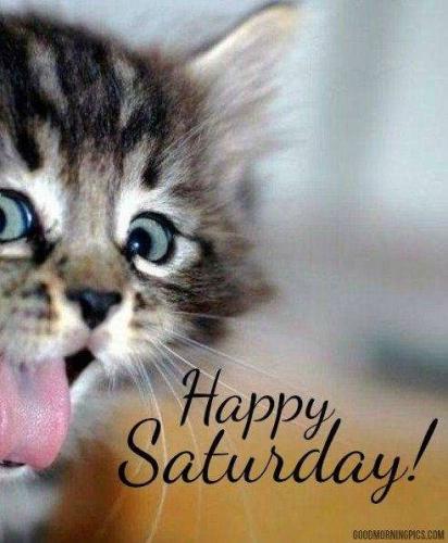 Happy-Saturday