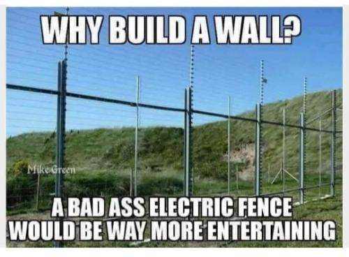 Like flies or mosquitos on a bug zapper, right