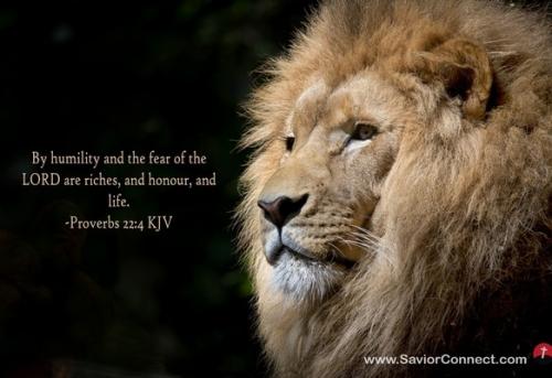 IMG_20230916_095554_334