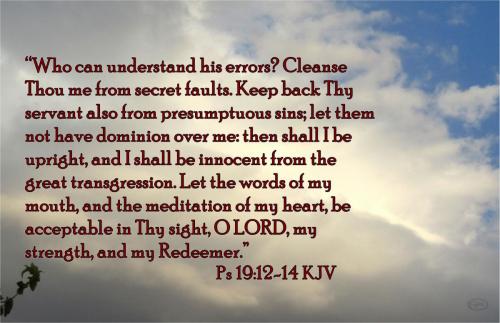 Who can understand his errors