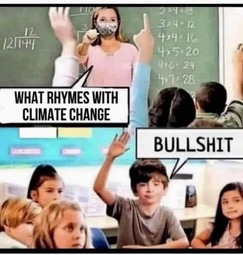 BULLSHIT    X