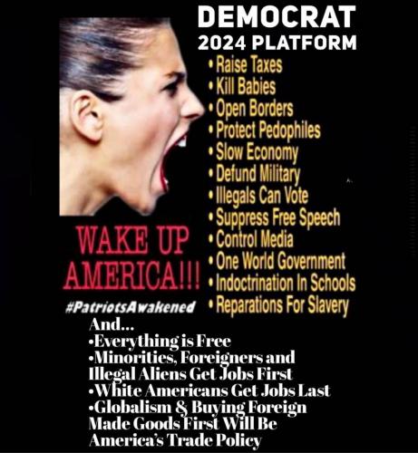 Dem 2024