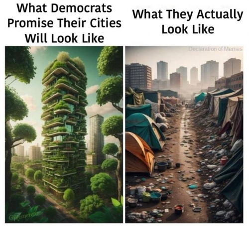 M Democrats promise