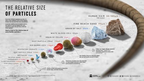 RelativeSizeofParticles