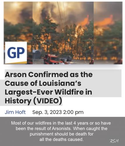 wild Arson