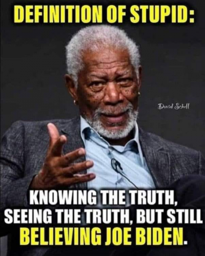 M Definition of stupid