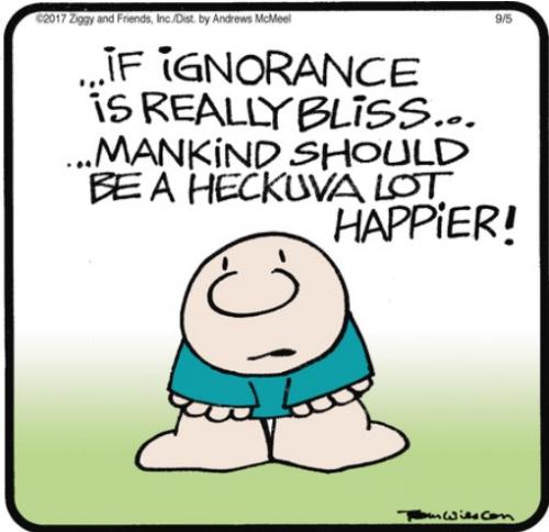 Screenshot 2023-09-05 at 07-44-26 Ziggy by Tom Wilson & Tom II for September 05 2023 GoComics