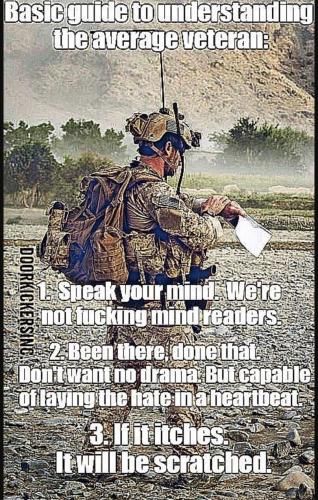 BASIC GUIDE TO UNDERSTAND VETS   TS