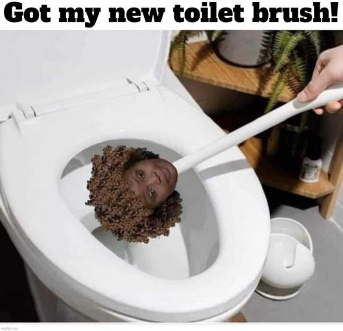 Got my new toilet brush.960px