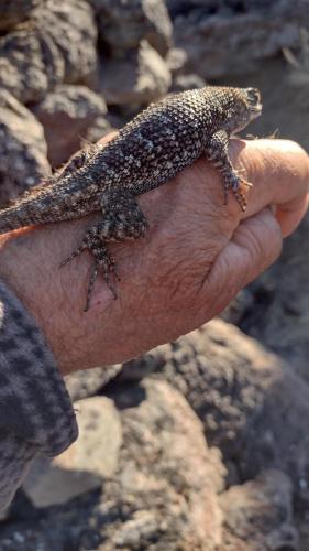 IMG_20230909_090605514_HDR