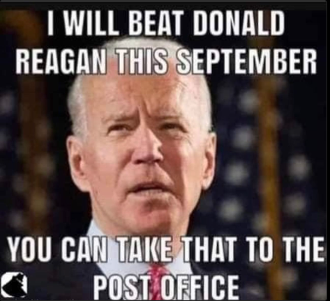 Scrambled Brains President