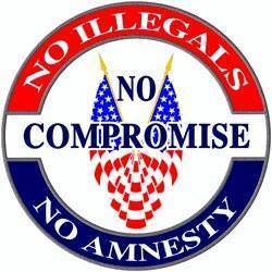 ALIPACNoAmnesty