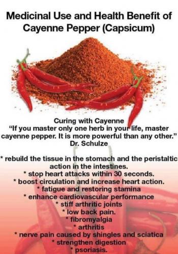 Benefits of Cayenne Pepper Capsicum