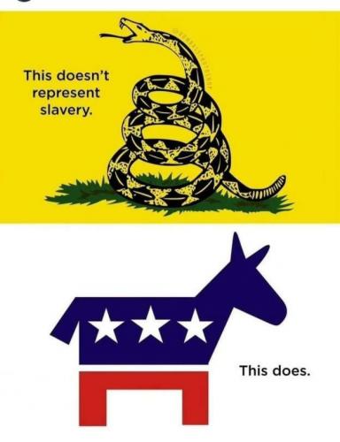 b9dfdc340744bf29.jpeg