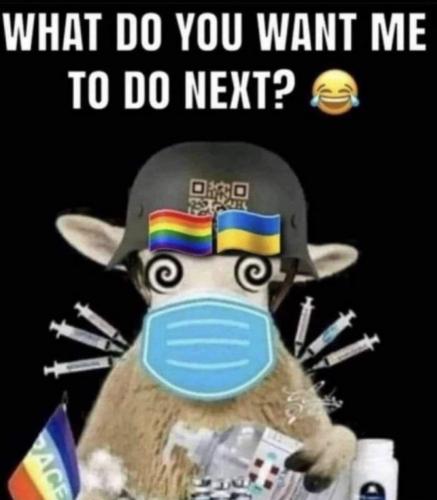 M next