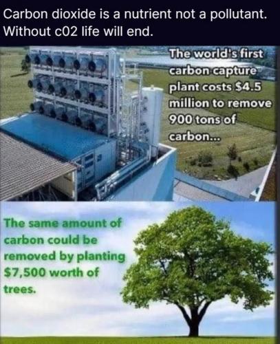 Carbon
