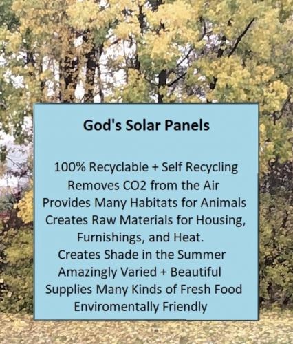 5C59ED38-5A46-44C7-A884-C382B6354B50