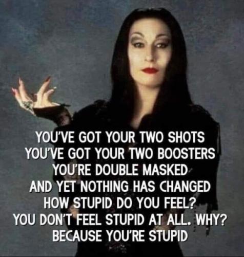 Stupid is as stupid does