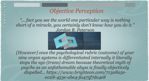 Screen Shot 2023-09-25 at 5.31.13 PM