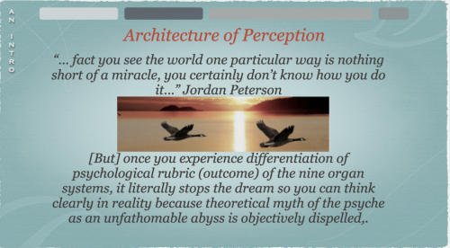 Screen Shot 2023-09-01 at 9.09.34 AM