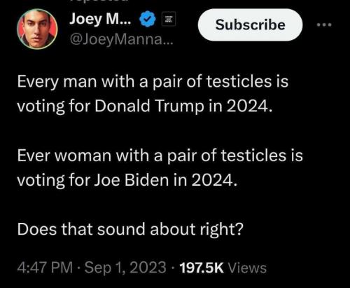 USA pair of testicles