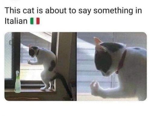 aaa