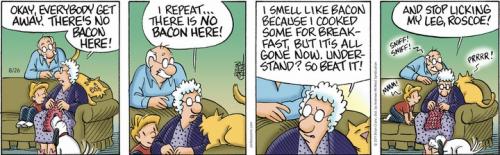 Screenshot 2023-08-26 at 06-52-45 Pickles by Brian Crane for August 26 2023 GoComics