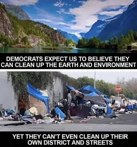 M Dems clean up