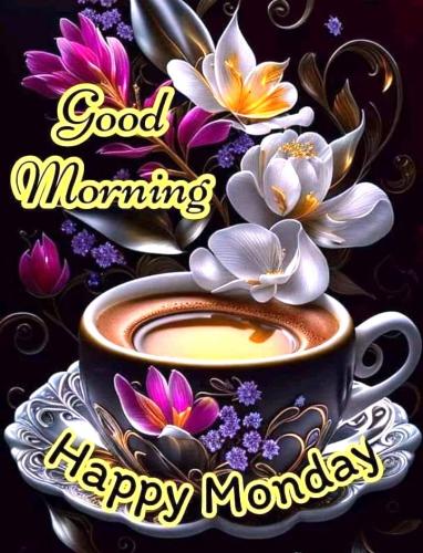 091123 - Happy Monday