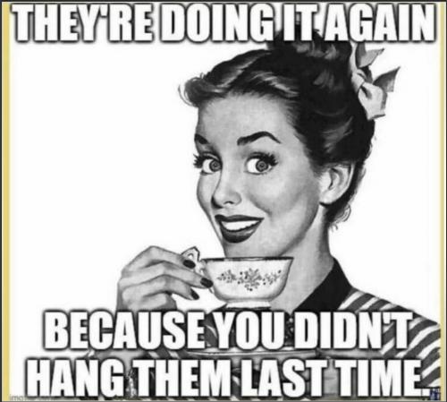 did not hang