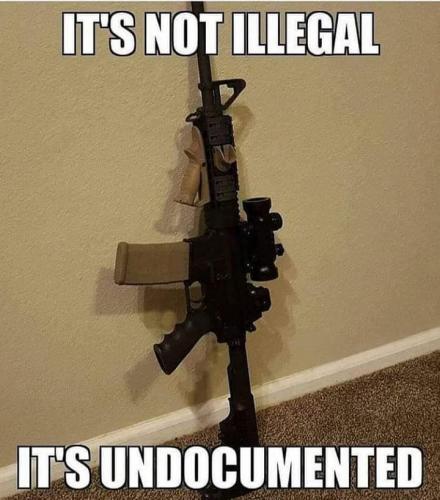 Gun - Not illegal, but undocumented
