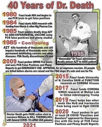 dr fauci info