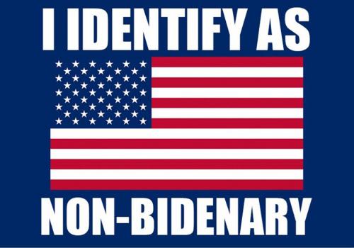 B non Bidenary 04