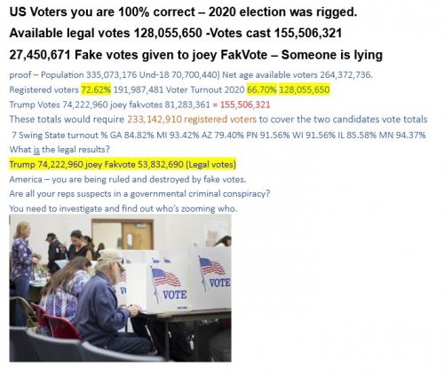 US Voter Fraud 2020 np