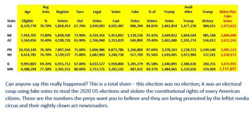 7 Swing state frauds