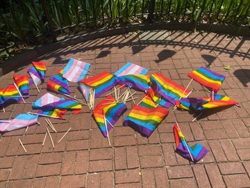 RAINBOW FLAGS